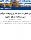 بهبود عملکرد بین‌المللی شرکت با بکارگیری فرهنگ کارآفرینی بین‌المللی